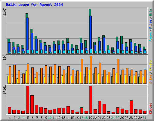 Daily usage for August 2024