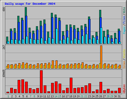 Daily usage for December 2024