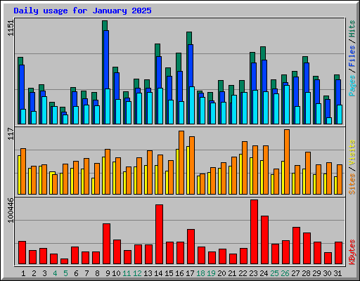 Daily usage for January 2025