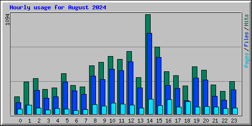 Hourly usage for August 2024