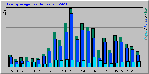 Hourly usage for November 2024
