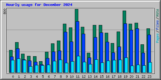 Hourly usage for December 2024