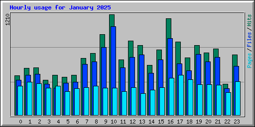 Hourly usage for January 2025