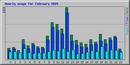 Hourly usage for February 2025