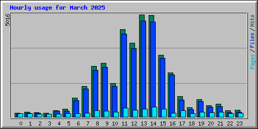 Hourly usage for March 2025