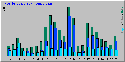 Hourly usage for August 2025