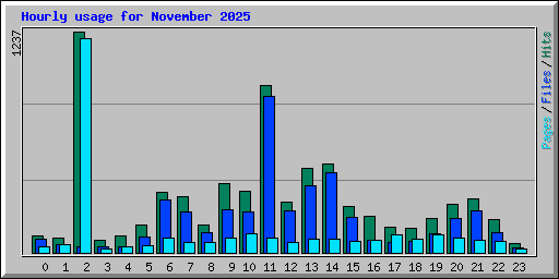 Hourly usage for November 2025