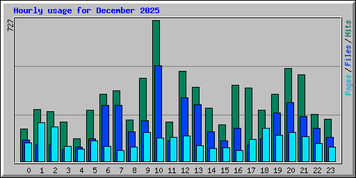 Hourly usage for December 2025