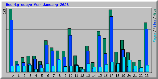 Hourly usage for January 2026