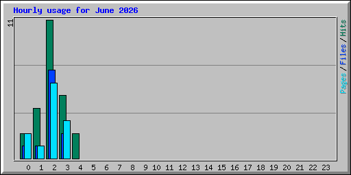 Hourly usage for June 2026